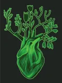 Illustratie van een groen hart waaruit bloeiende takken groeien