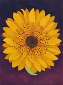 Schilderij van grote bloem van dichtbij in goudgeel en paars, in vlakke kleurvlakken