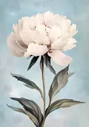 Schilderij van een grote witte pioenroos
