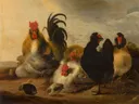 Haan en kippen in een landschap van Gijsbert d'Hondecoeter / Aelbert Cuyp: dieren met haan, kippen, kuikens en erf, in warm bruin met zwart en wit