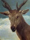 Head of a Stag van Diego Velázquez: dieren met hert, gewei, dierenkop en bos, in warm bruin met lichtblauw