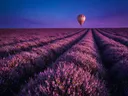 Landschapsfoto van heide bij de schemering, met een luchtballon boven de horizon