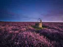 Landschapsfoto van heide bij de schemering, met een oude waterput