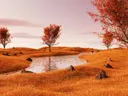 Kronkelende beek door een oranje herfstgrasland met rode bomen en verspreide rotsen.