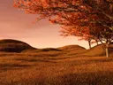 Rood-oranje herfstbomen op glooiende heuvels met droog gras onder een pastelkleurige lucht.