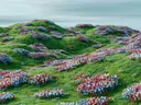 Glooiende groene heuvels met clusters rode, witte en blauwe bloemen.