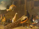 Hoenderhof van Melchior d'Hondecoeter: dieren met kippen, haan, pauw en kuikens, in warm okergeel en bruin