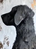 Honden