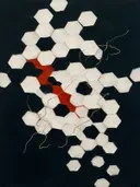 Honingraat in de stijl Geometric Earth, in inktzwart en beenderwit, met één baan vermiljoen