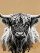 Schilderij: hooglander in houtskool met oker