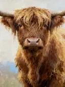 Schilderij: hooglander in mist gehuld
