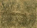 Horizon Spetter in aardetinten, action painting schilderij, horizon (drip)