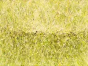 Action painting schilderij, horizon (drip) in citroen en lindegroen