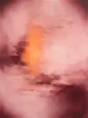 Nevel schilderij, horizontale lagen in Blush en Bourgondie