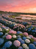 Landschapsfoto van hortensia bij de zonsondergang, met een roeibootje