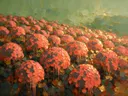 Hortensia op de helling in antracietkoraal, schilderij van hortensia