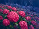 Hortensia op de helling in fuchsia, schilderij van hortensia