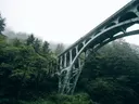 Betonnen boogbrug boven een mistig bos met dennen en loofbomen