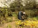In de moestuin (De warmoezenierster) van Anton Mauve: figuren met vrouw, moestuin, bloemen en tuin, in groen met geel