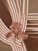 Schilderij van iris van dichtbij in poederroze en bruin, in vlakke kleurvlakken
