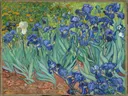Irissen van Vincent van Gogh: bloemen met irissen, tuin, bladeren en voorjaar, in blauwpaars en groen