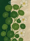 Illustratie van groene bladeren en witte bloesems in Japanse stijl