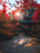 Traditioneel Japans paviljoen omringd door rode herfstbladeren met doorschijnend zonlicht.