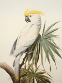 Witte kaketoe met gele kuif op een tak tussen tropische bladeren.