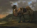 Kameel van van Jan Asselijn: dieren met kameel, landschap, zadel en heuvels, in warm bruin