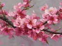 Japanse Sierkers