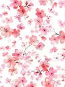 Aquarel patroon van roze kersenbloesems op een witte achtergrond