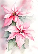 Aquarel van twee roze kerstsers
