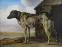 Ketting hond van Paulus Potter: dieren met hond, hok, ketting en wolken, in bruin en lichtblauw
