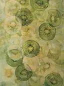 Patroon van doorgesneden kiwi plakjes in groen