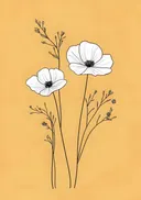 Botanische lijntekening van witte klaprozen op gele achtergrond