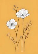 Botanische lijntekening van klaprozen met fijne twijgen