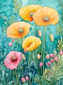 Gele en roze klaprozen met knoppen tegen een turquoise achtergrond