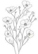 Lijntekening van klaprozen veldboeket