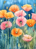 Aquarel schilderij van klaprozen in oranje en roze op een blauwe achtergrond