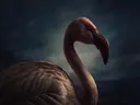 Studioportret van Kleine Flamingo en profil, tegen een geschilderd doek in inktblauw