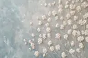 Kleine witte bloempjes op grijsblauw, botanisch schilderij