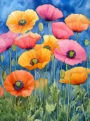 Oranje, roze en gele klaprozen tegen een blauwe achtergrond met groen gras