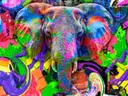 Dierenschilderij van olifant in popart kleuren
