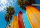 Foto van kleurrijke surfboards in geel, rood en blauw onder palmbomen