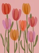 Illustratie van meerdere kleurrijke tulpen op een roze achtergrond.