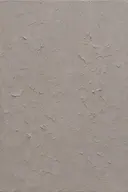 Grijs