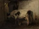 Koe in een stal van Anton Mauve: dieren met koeien, stal, stro en boerderij, in donker bruin met wit