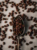 Geroosterde koffiebonen op een metalen lepel, omringd door verspreide bonen op een grijze ondergrond.