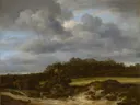 Korenveld van Jacob van Ruisdael: landschap met korenveld, duinen, wolken en pad, in oker en grijsblauw