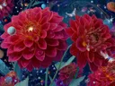 Schilderij van rode dahlia's tussen planeten en sterren in de ruimte